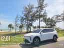 Vinfast Limo Green 2025-5
