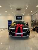 Kia Carnival Luxury 2025-3