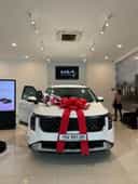 Kia Carnival Luxury 2024-3