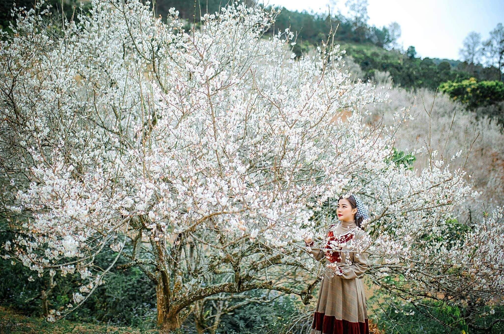 Gợi