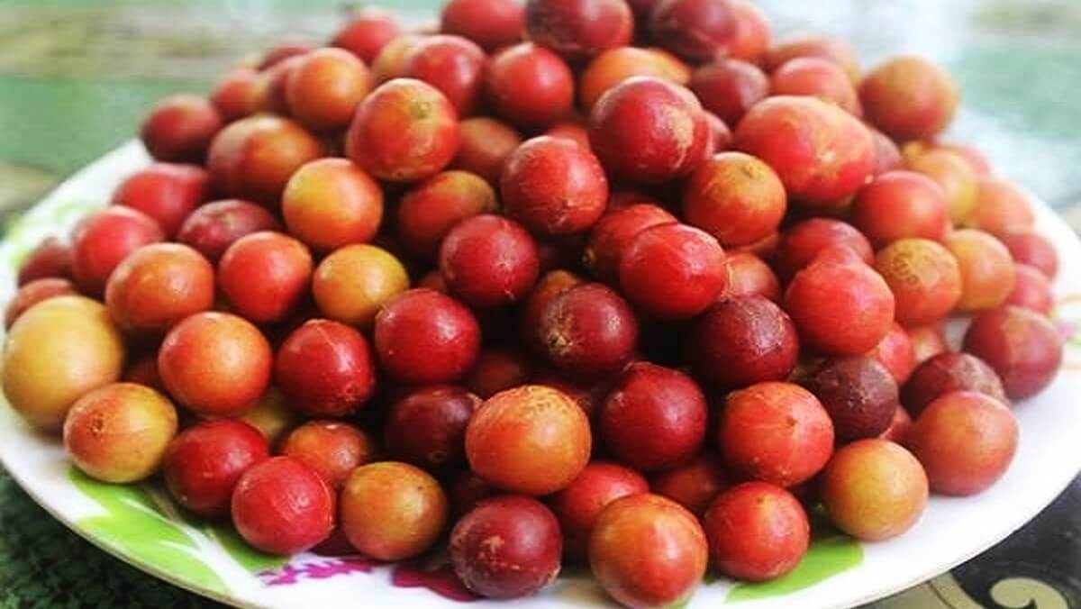 Đặc