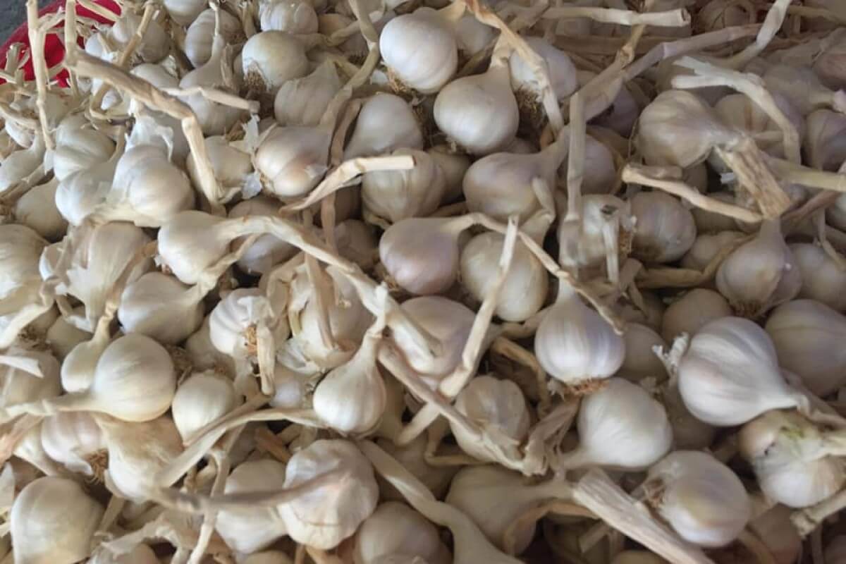 Đặc