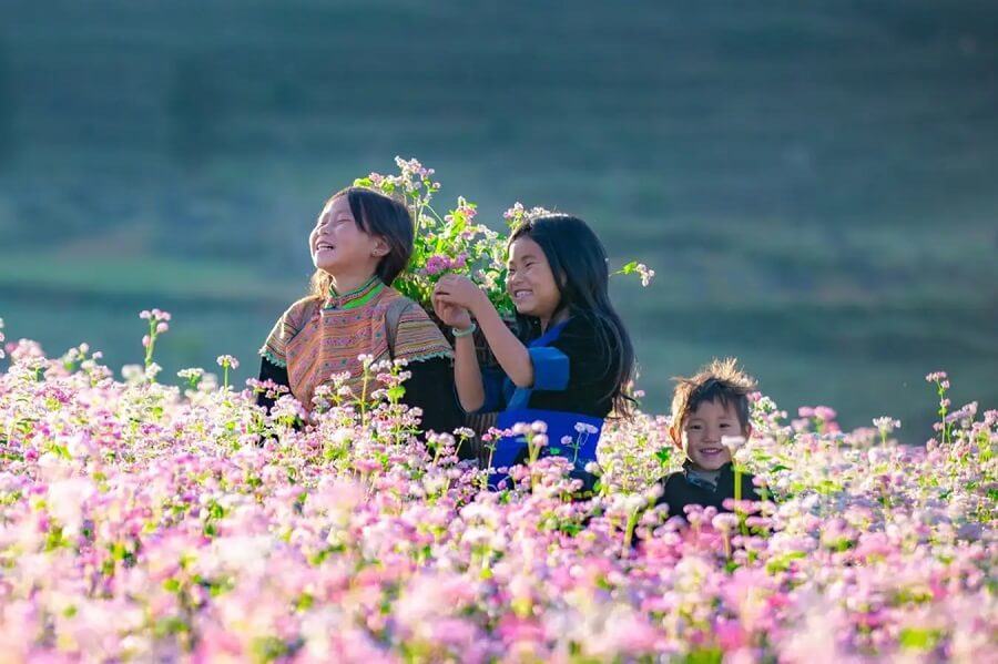 Thời điểm đi du lịch Hà Giang