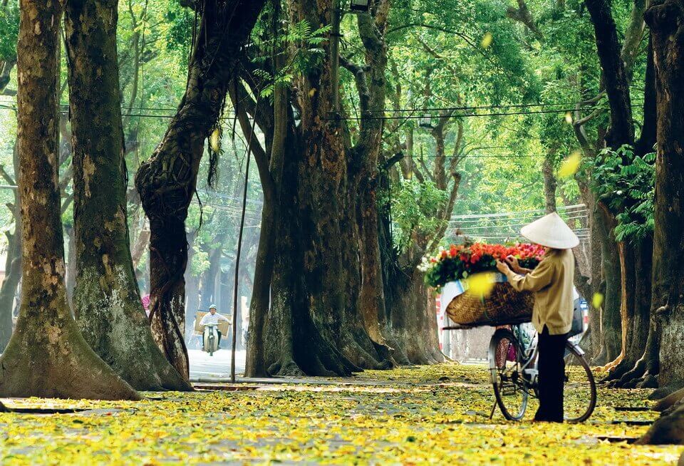 Giải